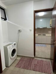 Seasons Park (D26), Condominium #613504521